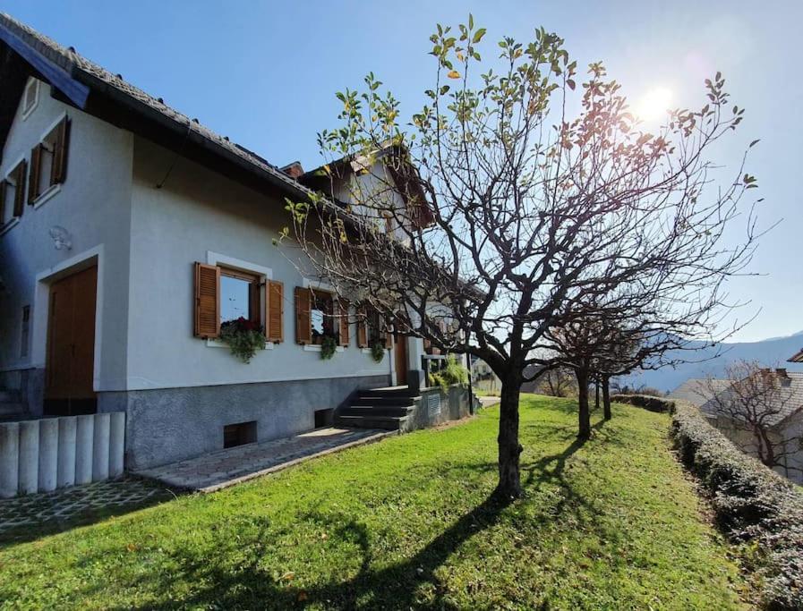 House Pucnk-Beautiful Countryside Villa Zelezniki Eksteriør billede